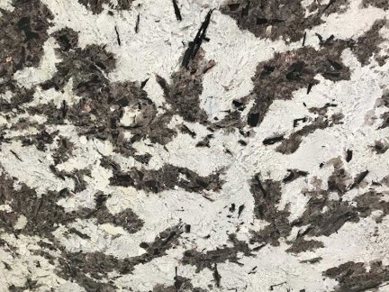 Delicatus White