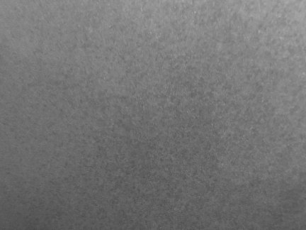 Pacific Grey